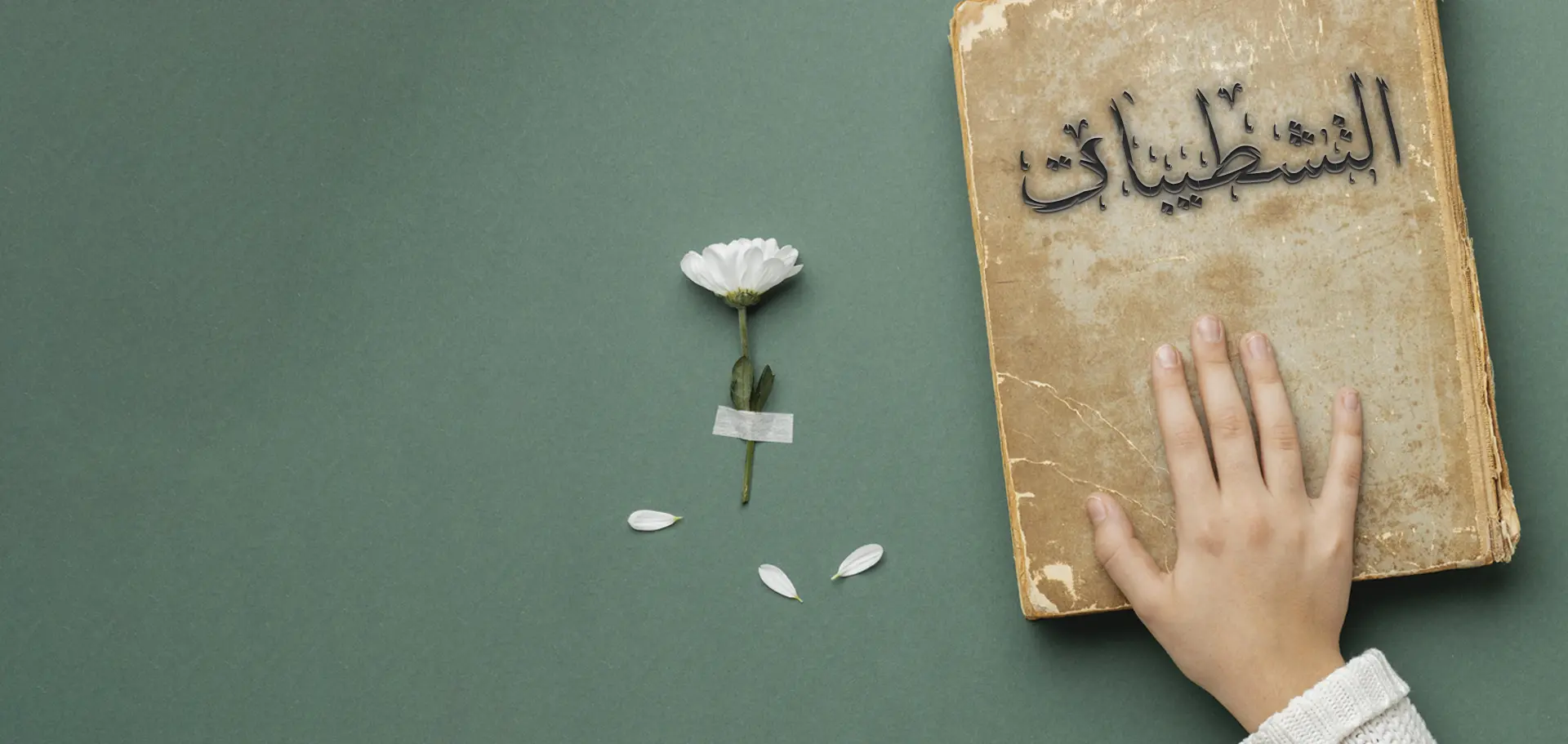 خدمات التشطيبات - خدمات تشطيب الشقق والفلل والمحلات والصيدليات من خلال إدارة هندسية منظمة تبدأ من المعاينة والمقايسة واختيار مستوى التشطيب وتنتهي بالتسليم النهائي.