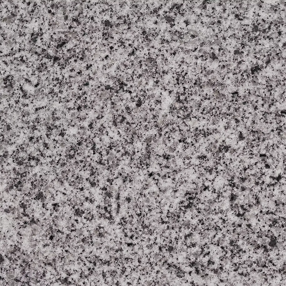 Egyptian Granite White Safaga Egyptian Granite White Safaga