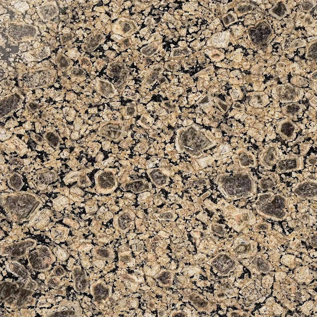 Egyptian Granite Yellow Verdy Gazal